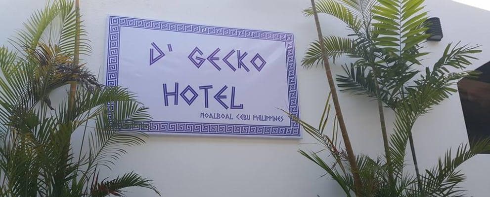 D-Gecko hotel